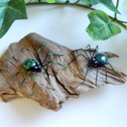 https://www.etsy.com/ca/listing/471390358/two-small-green-spiders-on-driftwood?