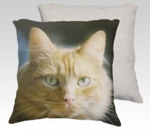 https://www.etsy.com/ca/listing/256752887/cool-cat-18x18-velveteen-pillow-cover?