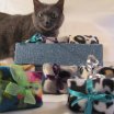 https://www.etsy.com/ca/listing/86846999/mini-crinkle-cat-toys-set-of-two?
